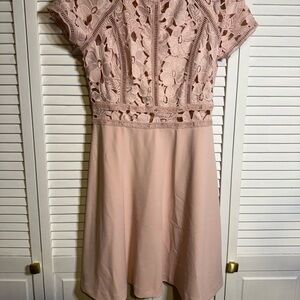 Blush Lace Dress